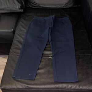 Ann Taylor Factory Men's Deep Blue Chinos